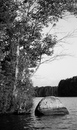September 02, 2007