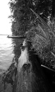 September 02, 2007