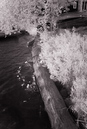 September 02, 2007