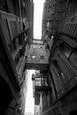 November 08, 2007