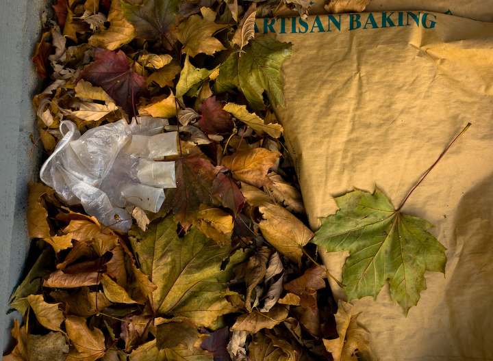 November 12, 2007