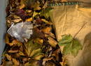 November 12, 2007